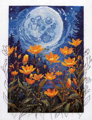 Cross Stitch Kit Cross-stitch kits Night contrast