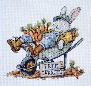 Cross Stitch Kit Cross-stitch kits Free carrots