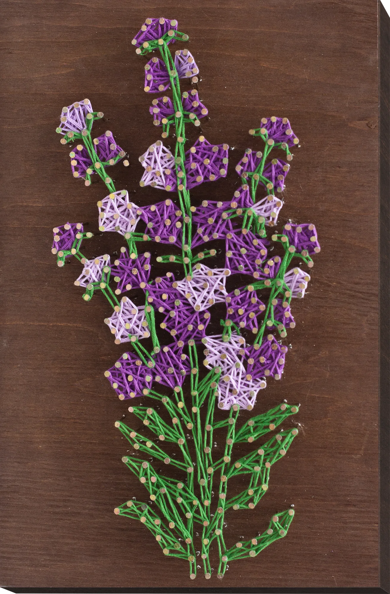 String Art Kit Creative Kit/String Art Lavender
