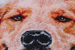 Cross Stitch Kit Cross-stitch kits Friend