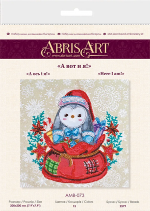 Bead Embroidery Kit Mid-sized bead embroidery kit Here I am!