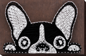 String Art Kit Creative Kit/String Art French Bulldog