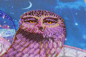 Bead Embroidery Kit Main Bead Embroidery Kit On the wings of the night