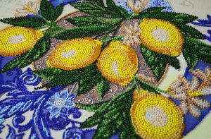 Bead Embroidery Kit Main Bead Embroidery Kit Lemons