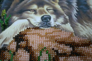 Bead Embroidery Kit Main Bead Embroidery Kit Rest on the rocks