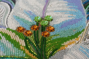 Bead Embroidery Kit Main Bead Embroidery Kit Princess of the flora