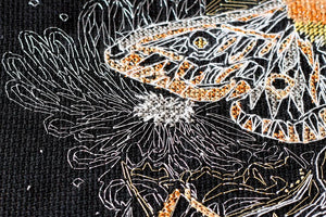 Cross Stitch Kit Cross-stitch kits Night moth