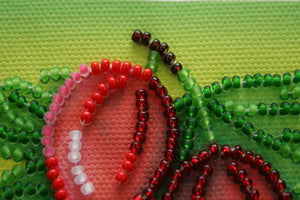 Magnets Bead Embroidery Kit Gooseberry