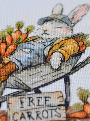 Cross Stitch Kit Cross-stitch kits Free carrots