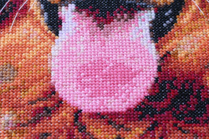 Cross Stitch Kit Cross-stitch kits Friend