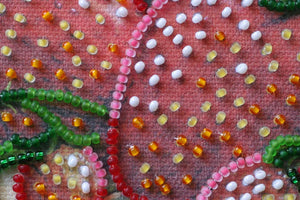 Bead Embroidery Kit Mini Bead embroidery kit Ripe strawberry