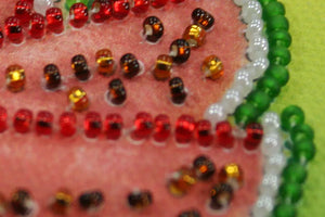 Magnets Bead Embroidery Kit Magnets Bead embroidery kit Watermelon