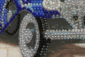 Bead Embroidery Kit Mini Bead embroidery kit Nevada