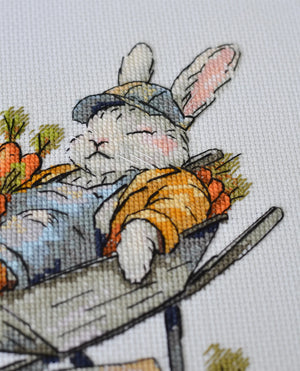 Cross Stitch Kit Cross-stitch kits Free carrots