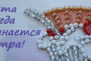 Magnets Bead Embroidery Kit Magnets Bead embroidery kit Diet – 1