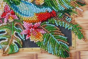 Bead Embroidery Kit Mid-sized bead embroidery kit Lori parrots