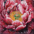 Bead Embroidery Kit Main Bead Embroidery Kit Dew's Kiss