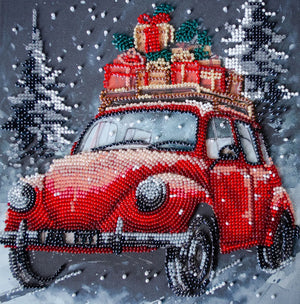 Bead Embroidery Kit Mid-sized bead embroidery kit Holiday Delivery