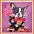 Bead Embroidery Kit Mini Bead embroidery kit Cute baby