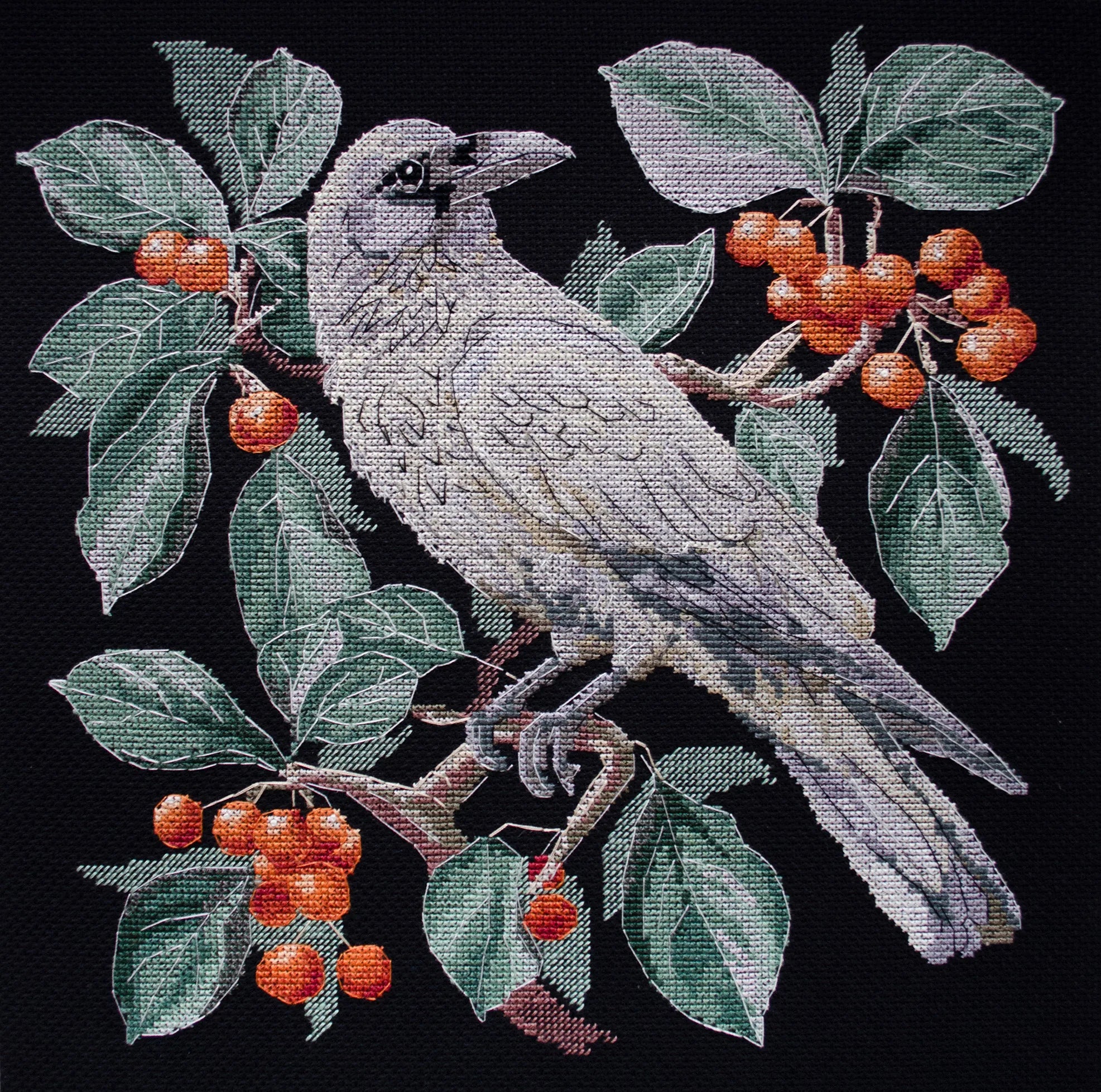 Cross Stitch Kit Cross-stitch kits Another beauty