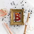 Brooch Embroidery Kit Decoration Letter "B"