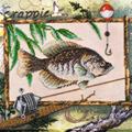Bead Embroidery Kit Main Bead Embroidery Kit Successful fishing