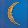 Bead Embroidery Kit Main Bead Embroidery Kit Cadence-3