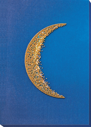 Bead Embroidery Kit Main Bead Embroidery Kit Cadence-3