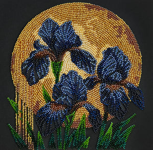 Bead Embroidery Kit Mid-sized bead embroidery kit Dancing in golden light