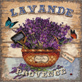 Cross Stitch Kit Cross-stitch kits Melody of provence