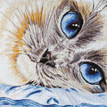 Cross Stitch Kit Cross-stitch kits Sapphire eyes
