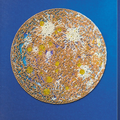 Bead Embroidery Kit Main Bead Embroidery Kit Cadence-1
