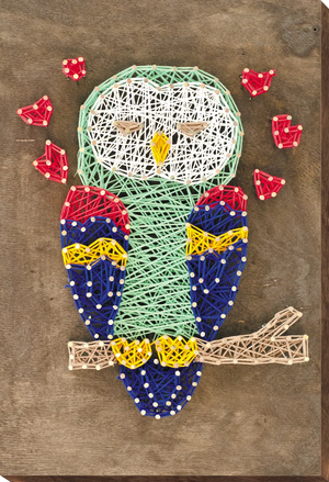 String Art Kit Creative Kit/String Art Owl