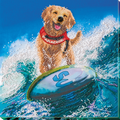 Bead Embroidery Kit Main Bead Embroidery Kit A sea of joy