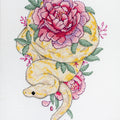 Cross Stitch Kit Cross-stitch kits Natural grace