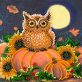 Bead Embroidery Kit Mini Bead embroidery kit Night guest