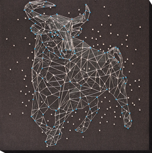 Bead Embroidery Kit Main Bead Embroidery Kit Constellation Taurus