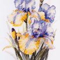 Cross Stitch Kit Cross-stitch kits Irises