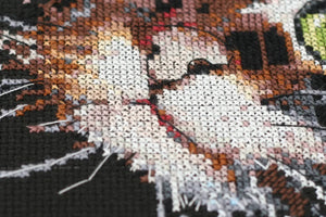 Cross Stitch Kit Cross-stitch kits Fluffy kitten