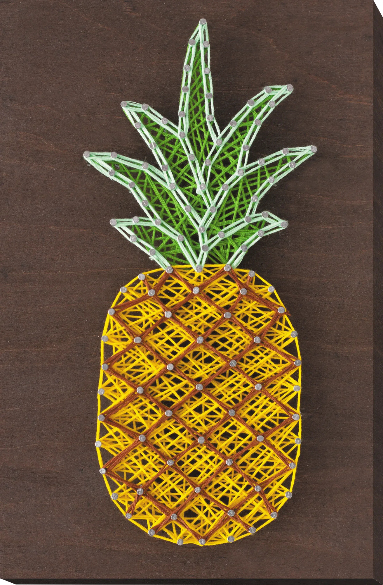 String Art Kit Creative Kit/String Art Pineapple
