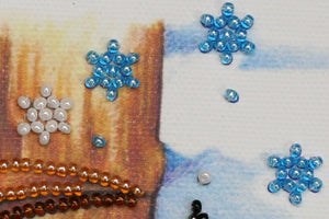 Bead Embroidery Kit Mini Bead embroidery kit Woodpecker