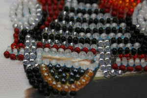 Bead Embroidery Kit Mini Bead embroidery kit Skoda-1102