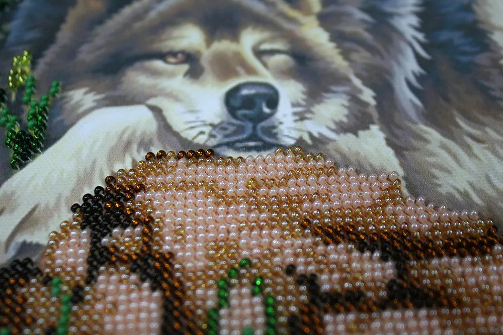 Bead Embroidery Kit Main Bead Embroidery Kit Rest on the rocks