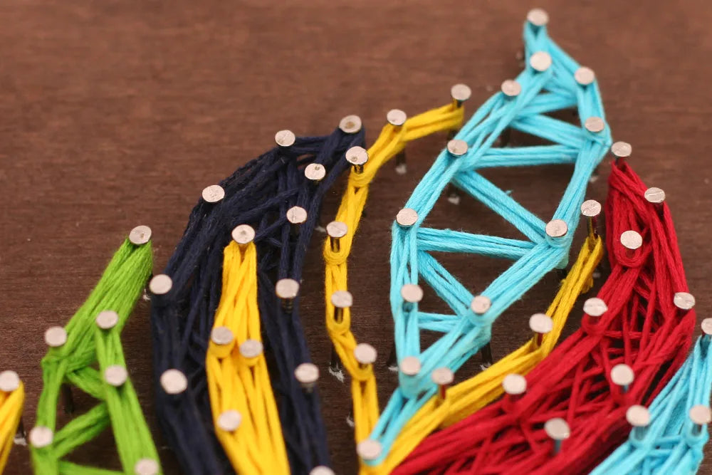 String Art Kit Creative Kit/String Art Multicolored feather