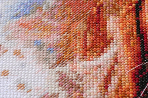 Cross Stitch Kit Cross-stitch kits Friend