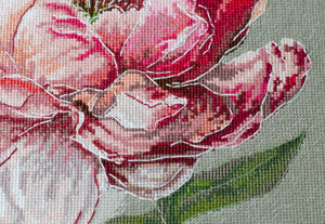 Cross Stitch Kit Cross-stitch kits Graceful beauty