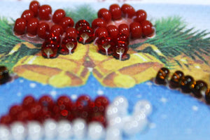 Magnets Bead Embroidery Kit Happy New Year – 4