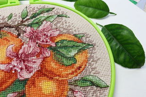 Cross Stitch Kit Cross-stitch kits Citrus notes
