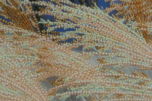 Bead Embroidery Kit Main Bead Embroidery Kit Herbs whisper
