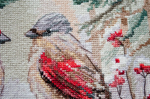 Cross Stitch Kit Cross-stitch kits Chittering about winter
